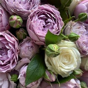 Meet your Posher, Agnes